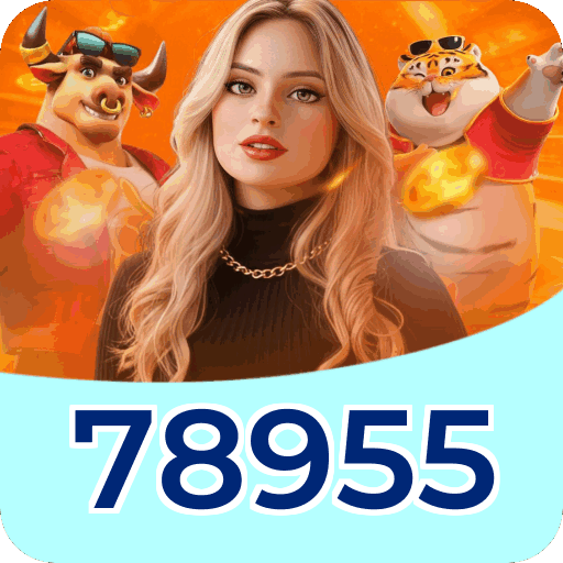 Verificação KYC 78955